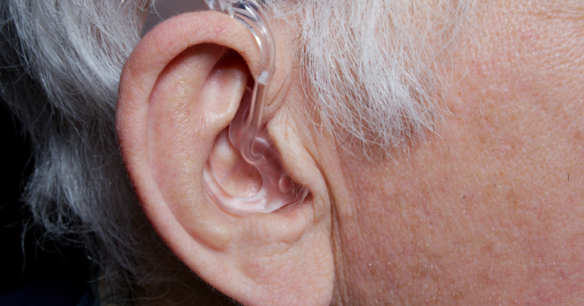 fraude_audio_2024.png