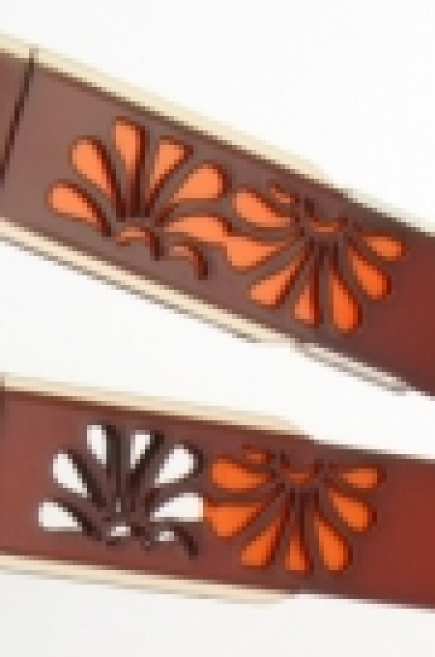 img4989a.jpg