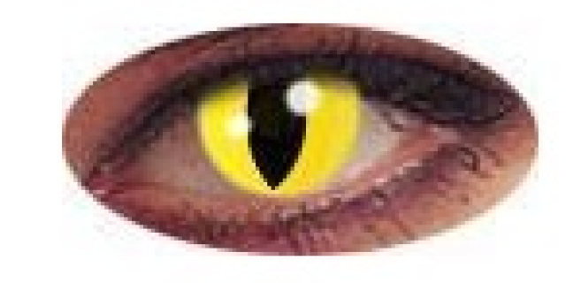 img4861.jpg