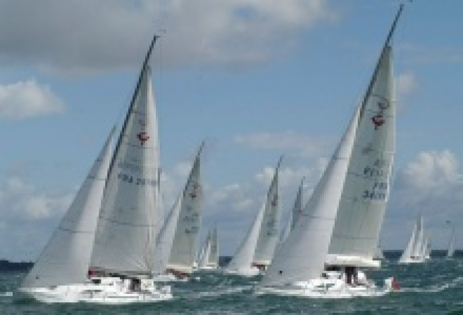 img4642a.jpg