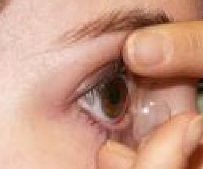 img4547a.jpg