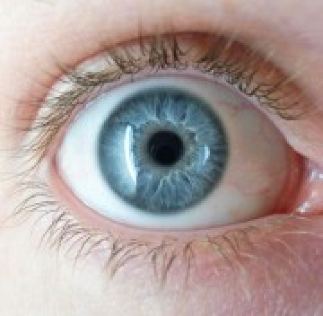 img4526.jpg