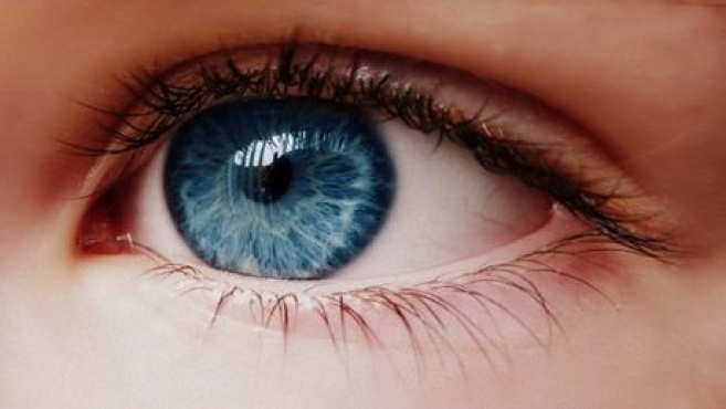 les-yeux-bleus-sont-le-resultat-d-une-absence-de-melanine-dans-les-cellules-de-l-iris_68570_w460.jpg