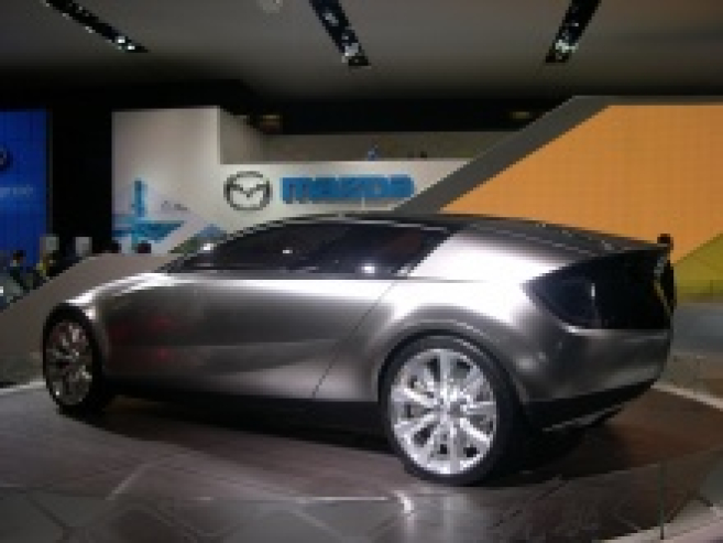 img3513a.jpg