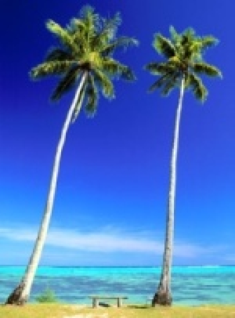 img3407.jpg