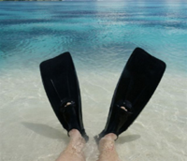 img3251.jpg