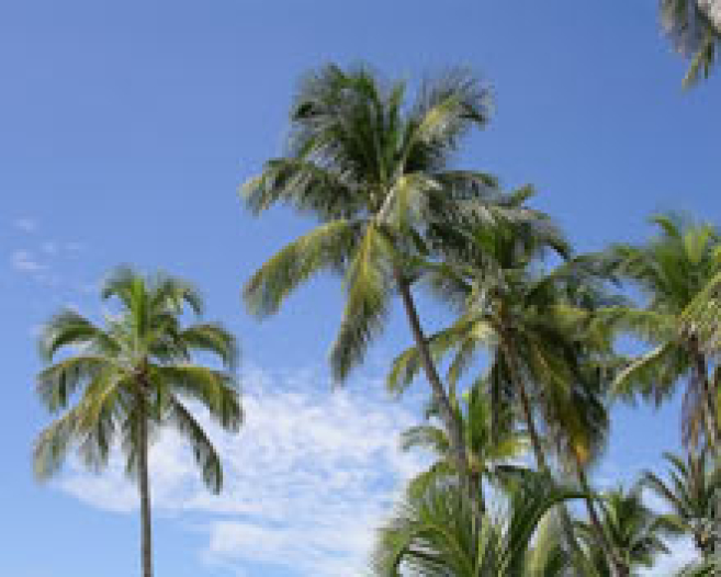 img3160.jpg