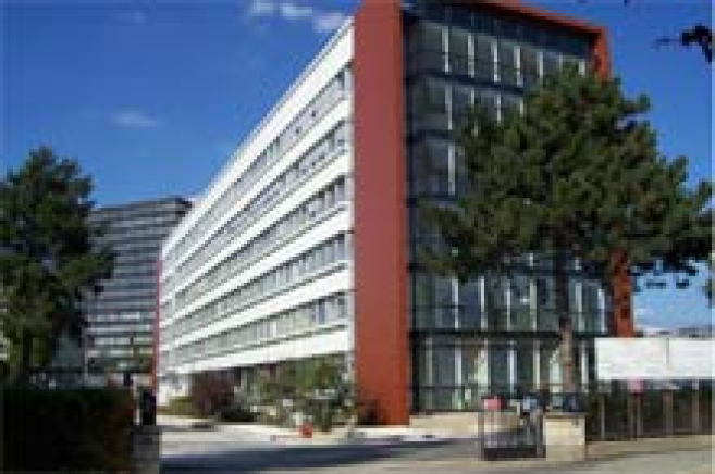 img3118.jpg