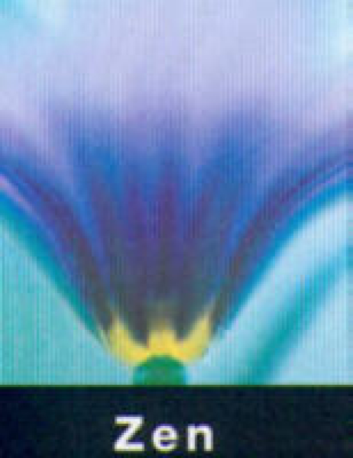 img355.jpg