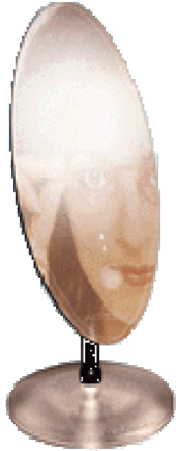 img275.gif