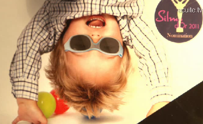 cebe2011.png