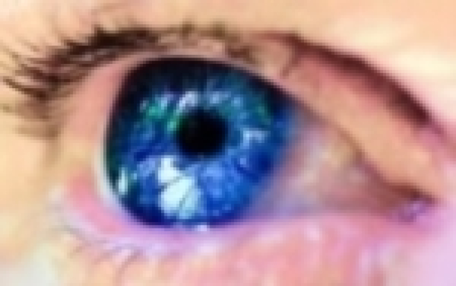 img8349.jpg