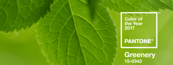 greenery_pantone_2017.png