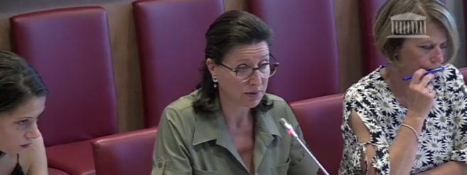Agnès Buzyn, ministre des Solidarités et de la Santé, devant la Commission des Affaires sociales de l'Assemblée nationale le 18 juillet 2017.