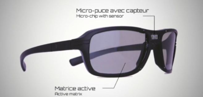 shetters-lunettes.png