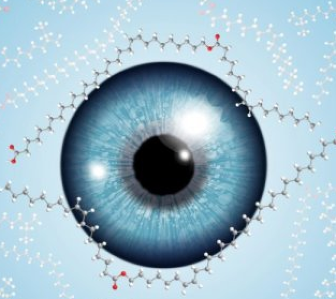 oeil_sec.png
