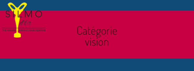 vision_categorie.png