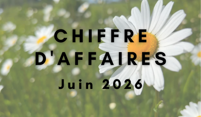 Chiffre d'affaires Juin 2026