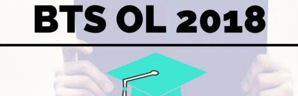 btsol2018_-_sujets_et_corriges.png