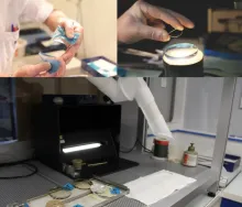 L’atelier de polymérisation doit respecter une certaine température afin que la colle prenne bien. Nécessitant parfois des dizaines d’heures de travail, il faut savoir que derrière un verre spécial se cache parfois jusqu'à 8 verres, pour une « simple » paire de lunettes.