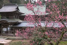Sur la route pour la ville de Fukui, temple Eiheiji, l'un des deux principaux temples japonais de l'école Sōtō - bouddhisme zen
