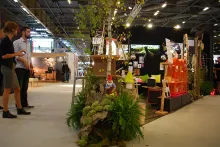 Au milieu d'une petite jungle...