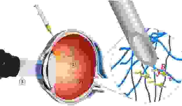 nanorobots.jpg