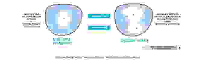 eyezendualoptim.png