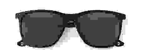 Police Men in Black