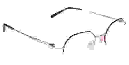 Modèle optique -&nbsp;écaille/doré