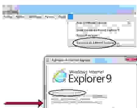 ie11.png