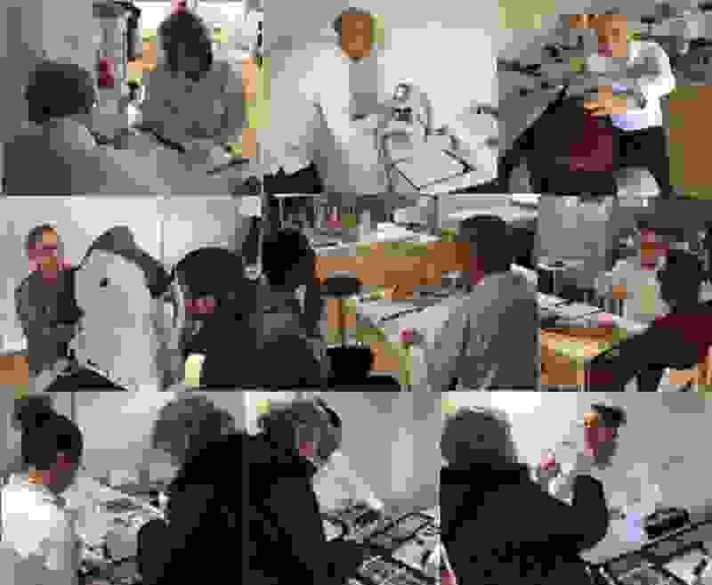 Ophtalmologistes, optométristes, orthoptistes, opticiens... Ils sont une trentaine de bénévoles
