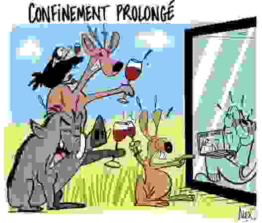 ©Alex dessinateur