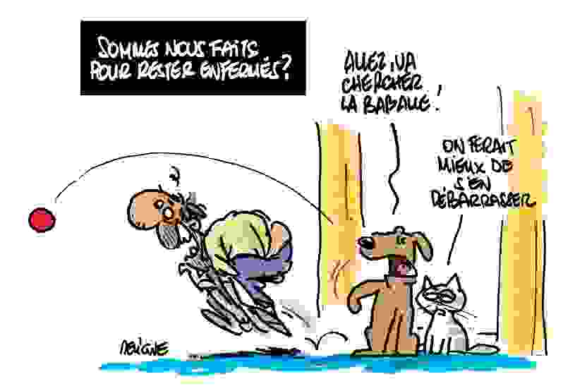 © Deligne