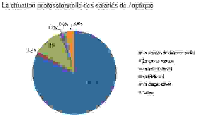 la_situation_professionnelle_des_salries_de_loptique.png