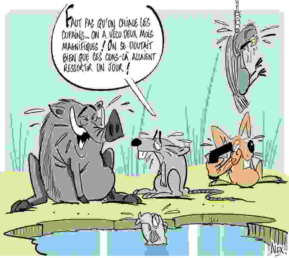 © Alex Dessinateur