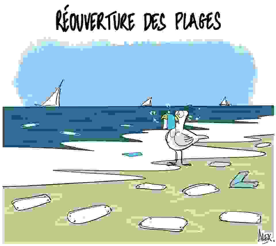 © Alex Dessinateur