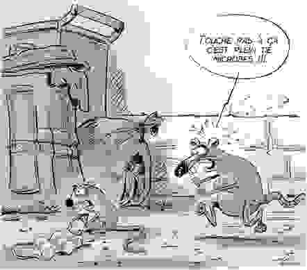 © André-Philippe Côté