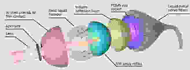 Structure de l'oeil électrochimique (EC-Eye) développé au HKUST