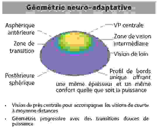 geometrie_neuro_adaptative.png