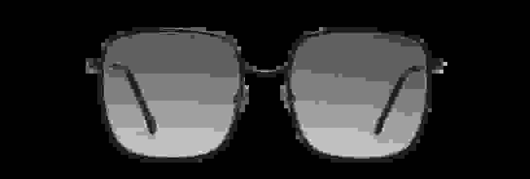 la_veronika.png