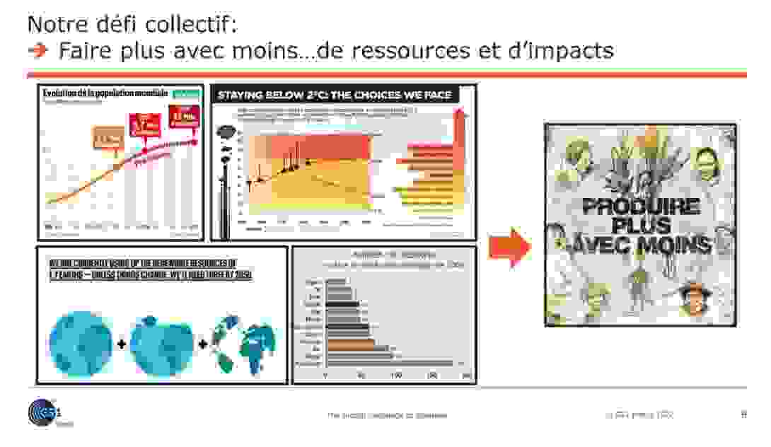 pdf_p11.png