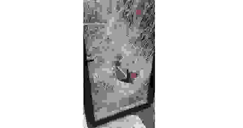 cambriolage_opticien_amiens.png