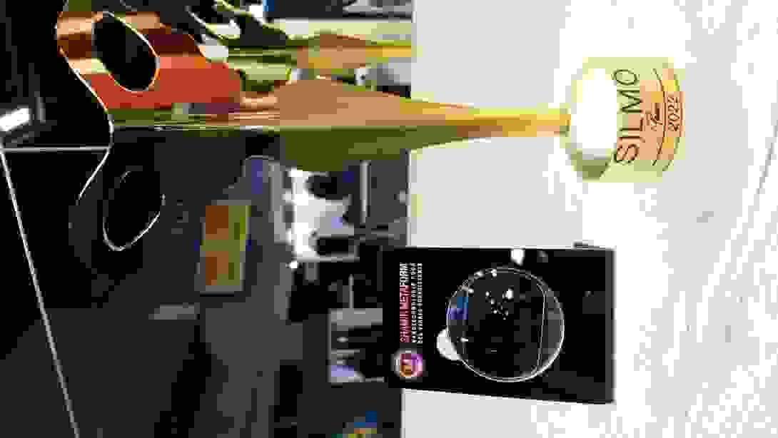shamir_metaform.jpg
