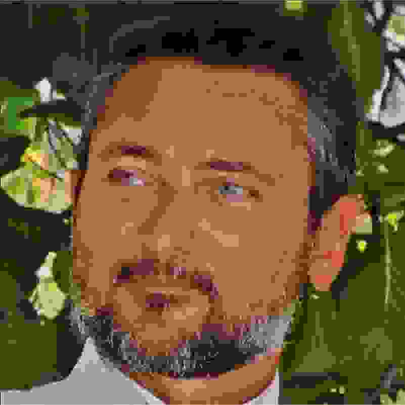 s_quartana.png