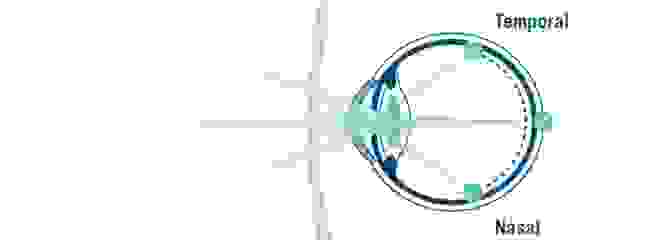 20240428_rodenstock_header1.png