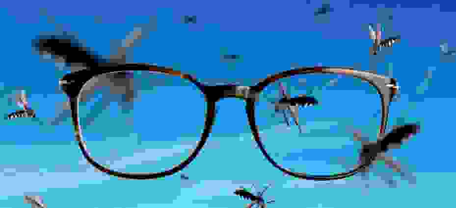 aloha.png