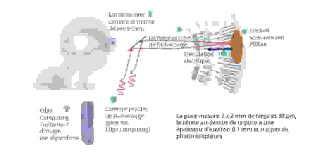 systeme_prima.png
