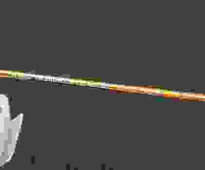 rayban_branche.png