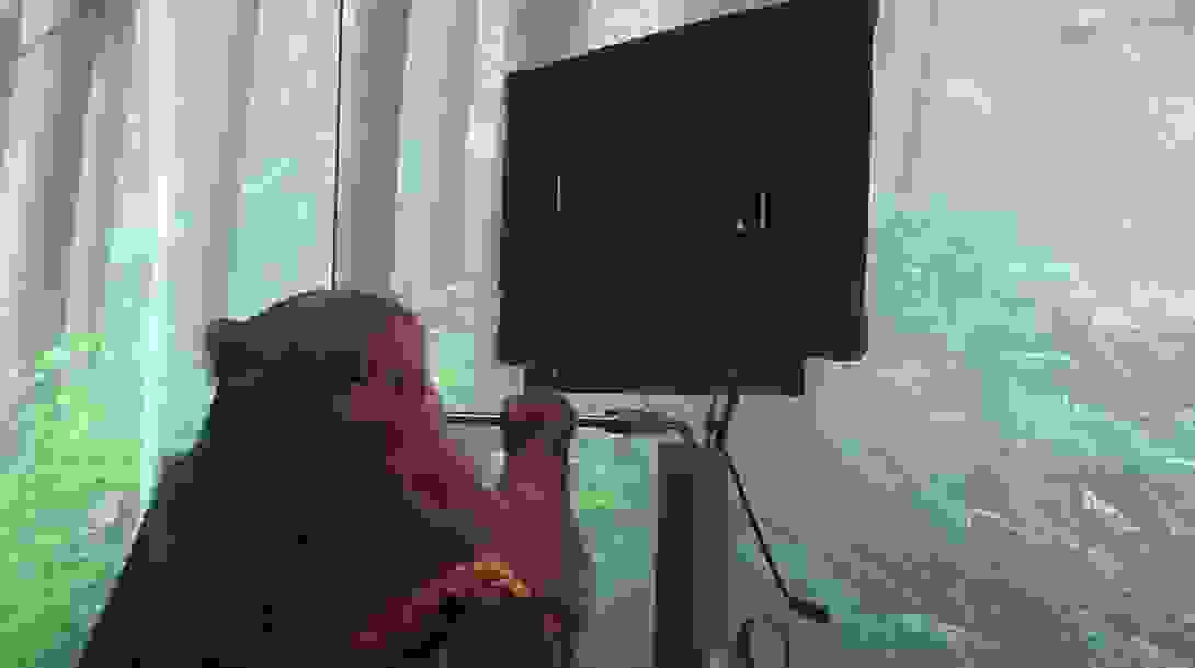 neuralink_pong.png